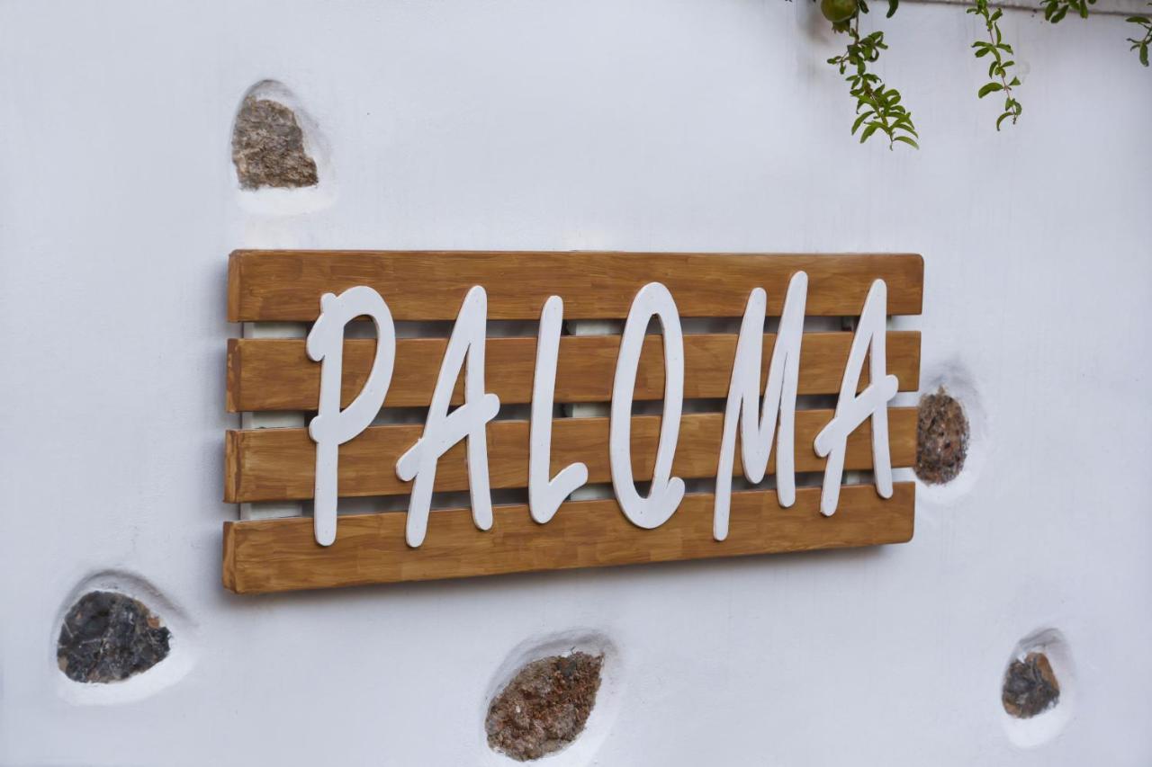 Paloma Luxury Studios Panormos  Luaran gambar